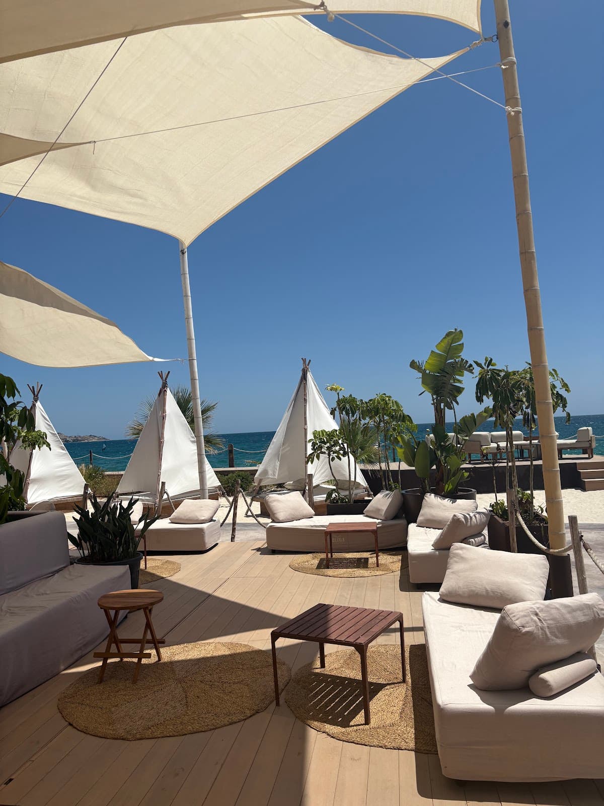 Puntapiedra Alicante: Restaurant, Bar and Club in One